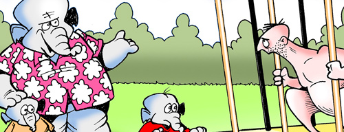 Daily Felltoon Preview for 12052013