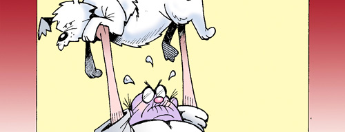 Daily Felltoon Preview for 01202014
